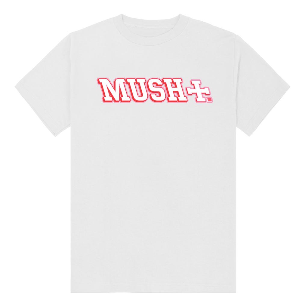 MIZLA SLIM TEE BERRY/WHITE