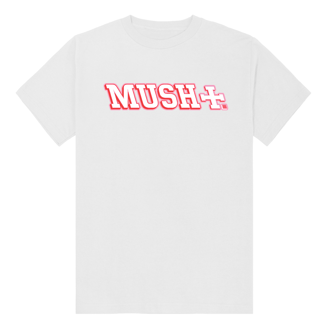 MIZLA SLIM TEE BERRY/WHITE